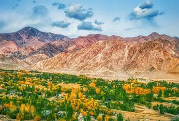Amazing Ladakh Tour
