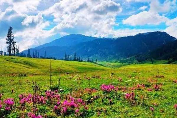 Bhaderwah Holiday Package