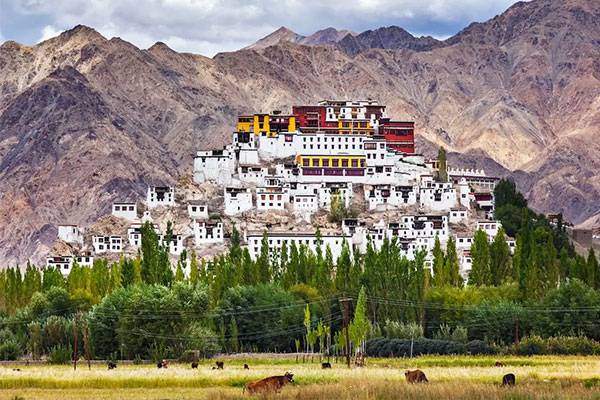 monasteries-ladakh2
