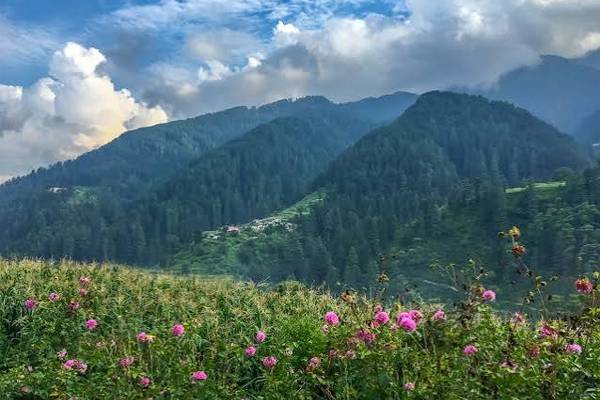 Jai Valley & Padri Camp Tour