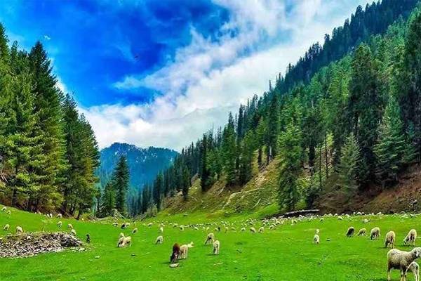 patnitop