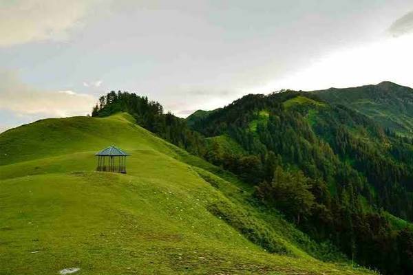 patnitop2