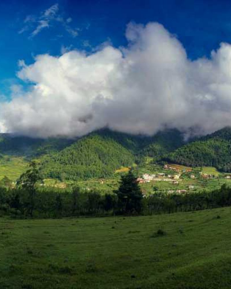 CHITLANG CHITLANG